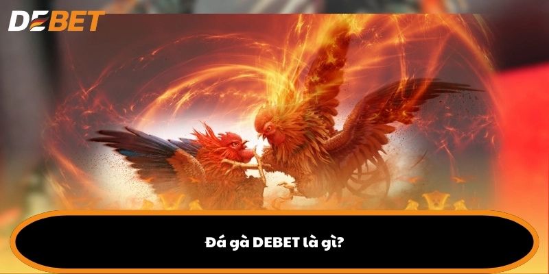 Đá gà DEBET là gì?